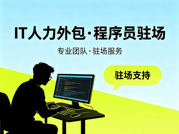 合肥IT人力外包解决方案：破解技术团队搭建难题