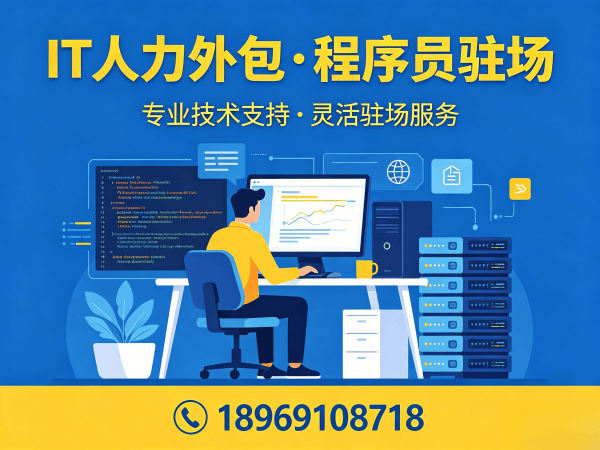 长沙IT人力外包解决方案:后端开发程序员驻场服务如何解决企业技术团队搭建难题