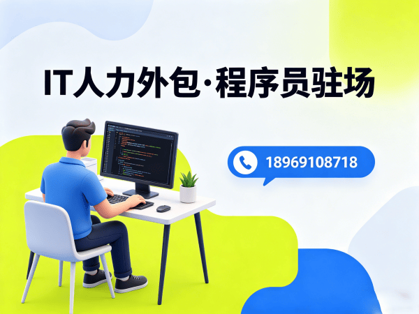 南京IT人力外包解决方案：全栈开发程序员驻场服务助力企业降本增效