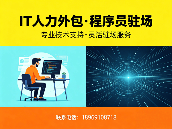 上海Go开发程序员人力外包解决方案 | 专业IT人力外包服务
