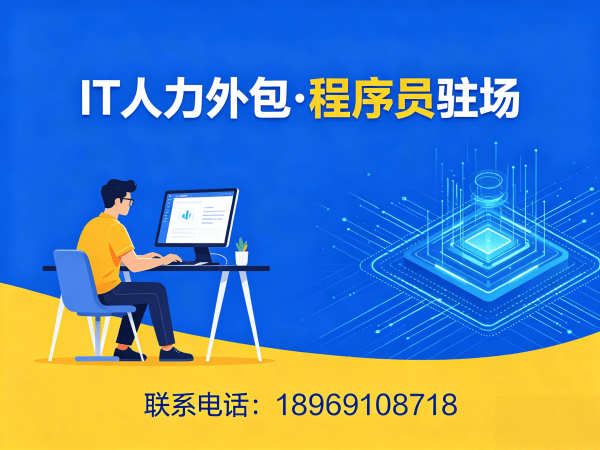 长沙IT人力外包解决方案：高效解决企业技术人才短缺难题