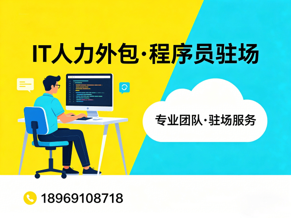 武汉IT人力外包解决方案：解决企业招聘痛点，实现技术团队高效搭建