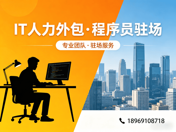 天津IT人力外包合作模式详解：测试工程师程序员驻场解决方案